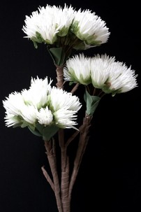 36"H x 8"W  3 STEM WHITE FOAM FLOWER [FF2365]